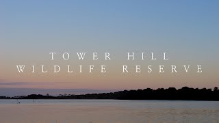 Tower Hill Wildlife Reserve 4K - a special wildlife haven in Victoria, Australia!