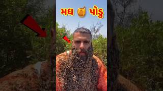 મધનુ પોડુ 😱ભોળી મધમાખી😱મધ ખાવાના ફાયદા😱મધ માખી#shortsfeed#animals#birds#honey#મધ#bee#shorts#short