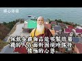 大年初一當天！這4生肖身上戴一物！2025年橫財偏財旺不停！ 生肖 生肖運勢 命理 風水 十二生肖 禅心语录 佛教