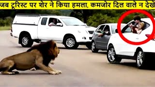 जब अचानक शेर ने टूरिस्ट को देखा और जो किया शेर ने 10 tourist places ! animal tourist places