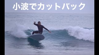 小波でも体の捻り１つで変わるサーフィン