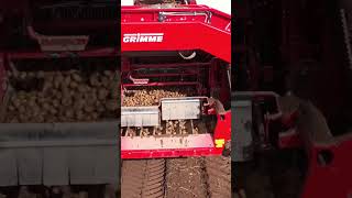 grimme air sep in motion #arimagery #grimme #potatoes #airsep #spuds