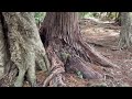 【浅間神社】愛知県豊橋市にある神社⛩通称『首狩神社』