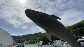 【東京都 4K】  父島 (小笠原村)の散歩