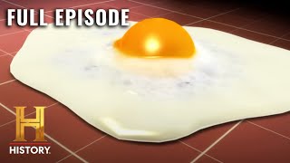 Chicken to Omelette: Journey of an Egg | Modern Marvels (S15, E3) | Full Episode