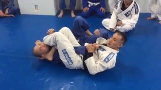 Submission flow from the mount position by Mitsuyoshi Hayakawa