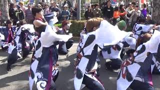 20181020長崎大学突風inYOSAKOIさせぼ祭り中央公園パレード二回目－②