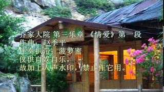 Erhu - 乔家大院 第三乐章 《情爱》第1段