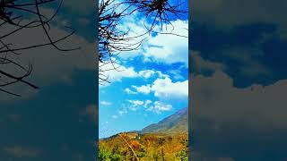 #乡村美景蓝天白云 #实景拍摄 #特效剪辑 #唯美风景 #治愈风景 #Rural scenery blue sky and white clouds #scenery #玖零壹贰 #shorts