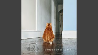 Peace Comes To Me