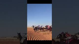 شاهد سقوط الخيال في السباق|| ايش السبب؟ 🐎#خيل #السعودية