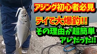 そして釣ったアジを泳がせたら大型イカ＆青物がHIT【アジが釣れたら泳がせた方が倍オイシイ!!】