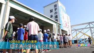 広報ふじコレクション！令和3年11月20日号