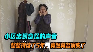 小区出现奇怪的声音，整整持续了5年，竟然莫名消失了