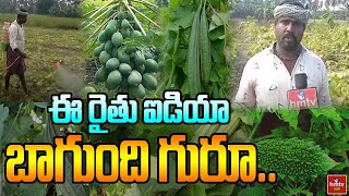 ఈ రైతు ఐడియా బాగుంది గురూ | Agriculture | hmtv agri