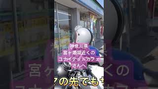 神奈川県宮ヶ瀬湖ライダーズカフェ