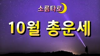 [타로/타로점]10월 나의 총 운세는?