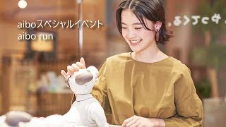 aiboスペシャルイベント aibo run