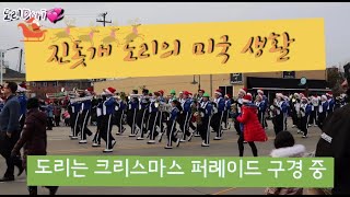 진돗개를 본 외국인 반응 Jindo watches parade #개퍼레이드 #jindo