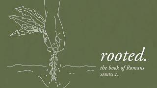 Rooted: The Book of Romans - Week 7 - The Everyday Faith