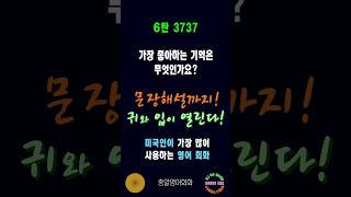 3737번 #미국인이가장많이쓰는영어 #쉬운영어회화 #생활영어회화 #총알영어회화 #여행영어회화 #백번듣고백번말하기 #영어회화문장해설 #영어회화문법해설