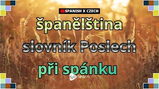 Naučte se s španělština obrázky | španělština slovník Poslech při spánku | Golearn