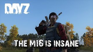 I Found The New M16 In DayZ 1.13 And It's INSANE!!