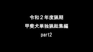 甲斐犬単独猟総集編 part2 (二十一話～三十二話)