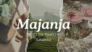 Majanja - Meet The Tempo 8 (Letsibolo)