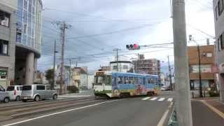 函館市電　Japan Hakodate City Tram ( Street Car ) 8010