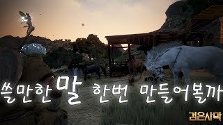 검은사막(BDO) 8세대 자가용말or준마 만들기(Let's make a good 8-tier horse!)