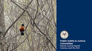 Peoria County Public Safety & Justice Committee