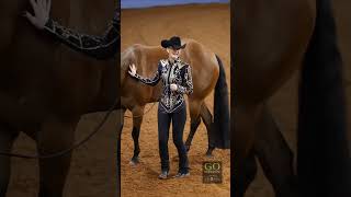 AQHA World Show 2023 - Select Showmanship