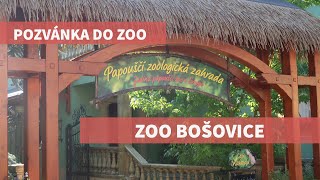 Pozvánka do Zoo Bošovice