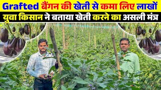 युवा किसान कर रहे आधुनिक खेती | Grafted बैंगन की खेती | ambikapur