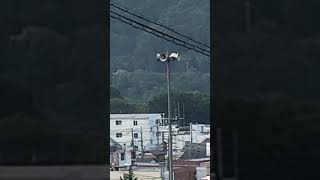 防災行政無線チャイム 神奈川県相模原市17時 [ウェストミンスターの鐘]