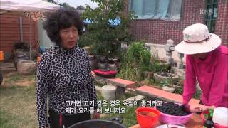 [HIT] 한국인의 밥상 - 뽕닭에 오디를 넣은 닭볶음탕, 참붕어 요리.20150702