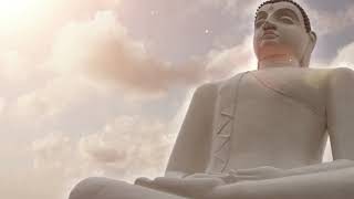 A Guided Meditation on the Body, Space, and Awareness in 2021