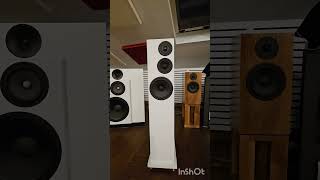 Diy loudspeaker Ekta modified with Nuprime Evolution dac2 + Sta9x mono amplifier. Part 1