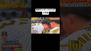 森下翔太は天然です。#阪神タイガース #森下翔太 #佐藤輝明