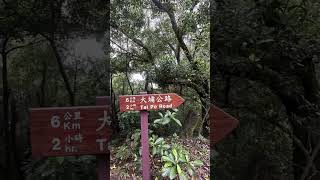 火炭-駿洋村-直升機坪-坳背灣-劉氏宗祠-WP-14-1草山坳-麥徑-道風山-道榮園-沙田市中心25-5-2023Part 2