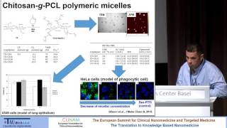 The Pros and the Cons of Polymeric Micelles as Delivery Platform by Minimally