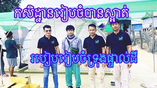 កសិដ្ឋានរៀបចំបានស្អាត់តាមស្ទង់ដា ​⁠​⁠Grasshoppersfarm