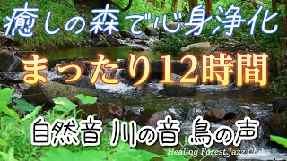 [12hr]Relax in the healing forest #38α / nature / Babbling brook /Jazz / Purification /Work BGM /AI