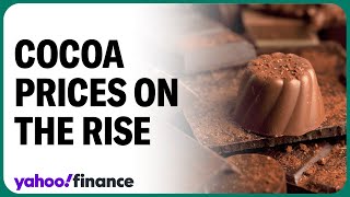 Cocoa prices could remain high until 2026