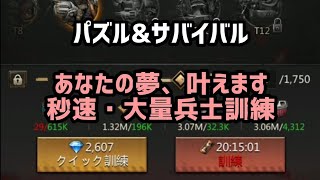 秒速で大量に兵士訓練したくない？それ叶えます/パズサバ