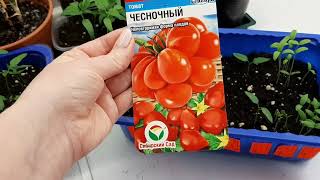 ❄☀️Обзор рассады 7 марта 2022г.🧅🌶🍅💖 как мы растем