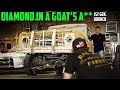 Like A Diamond In a Goats A** - Wheels & Deals