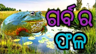 Garba ra fala | ବେଙ୍ଗ ଗର୍ବ ର ଫଳ ପାଇଲା | odia gapa | kids moral cartoon story | pihu Krishna story