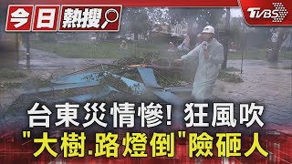 台東災情慘! 狂風吹 「大樹.路燈倒」險砸人｜TVBS新聞 @TVBSNEWS01